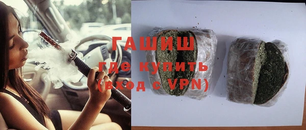 индика Кулебаки