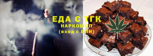 индика Кулебаки